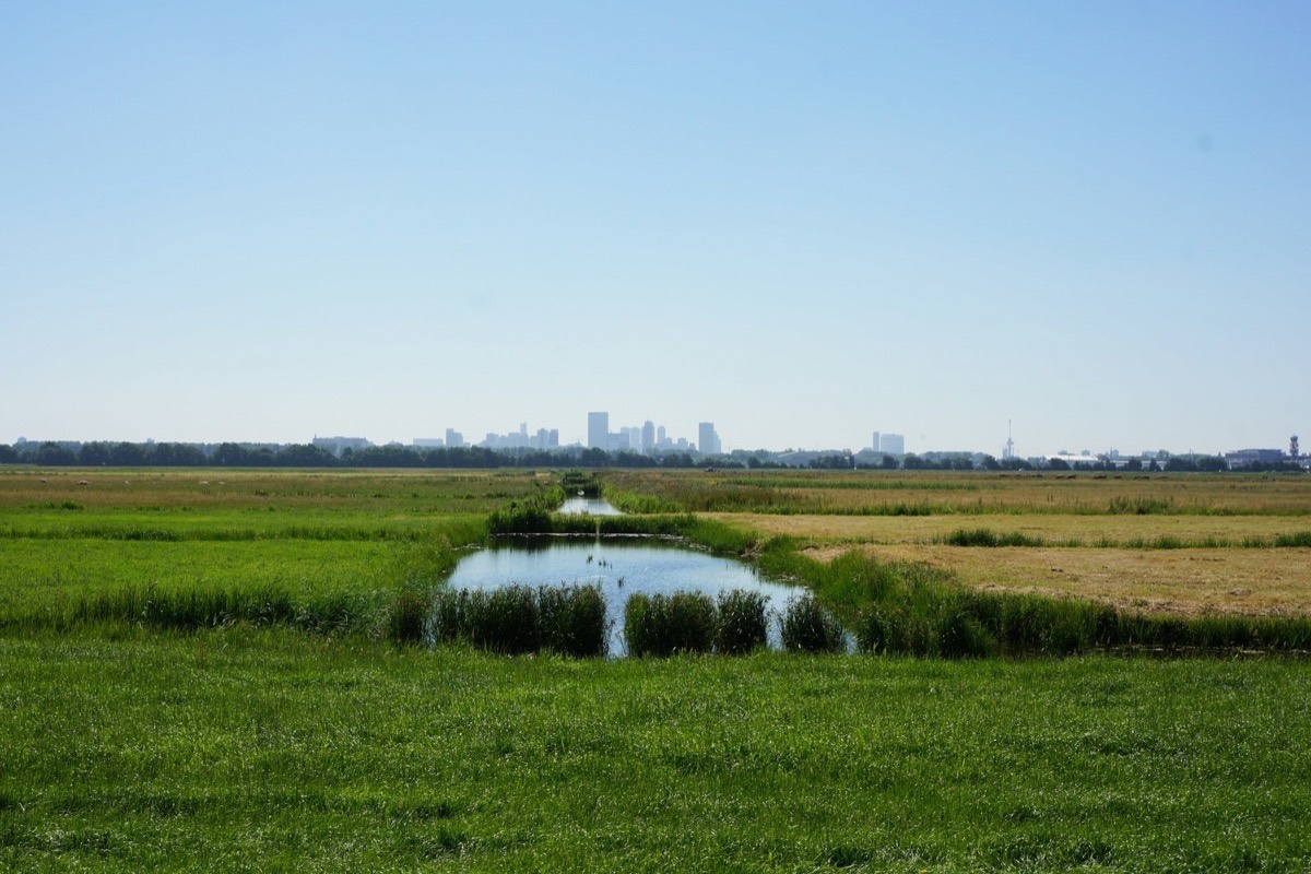 Flat polder and open sky, with the city on the horizon